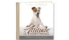 Get Attitude Is Everything Book Under $15.95