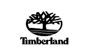 Timberland IT